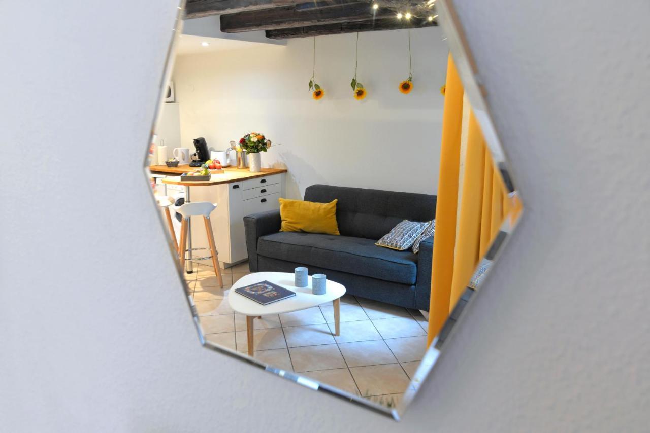 La Terrasse Sur Cour Apartment Colmar